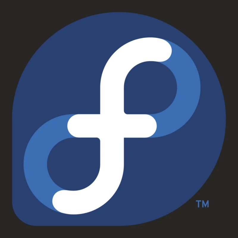 Fedora Ladies Fitted T-Shirt - Image 5