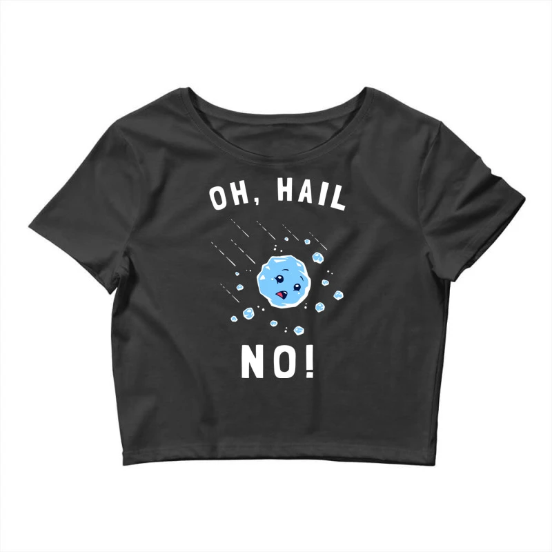 Oh Hail No Crop Top